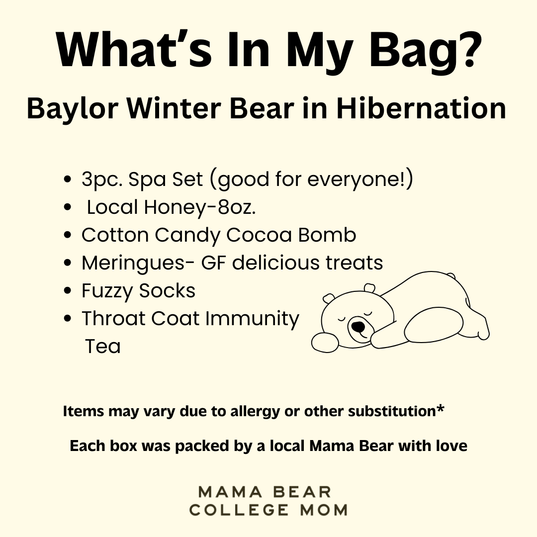 Baylor Winter Bear in Hibernation Package