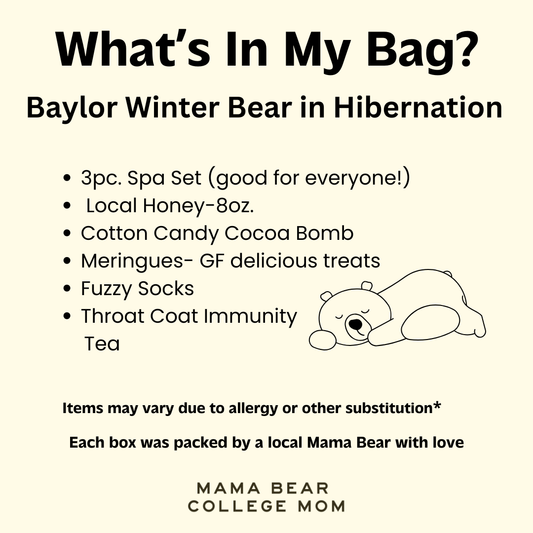 Baylor Winter Bear in Hibernation Package