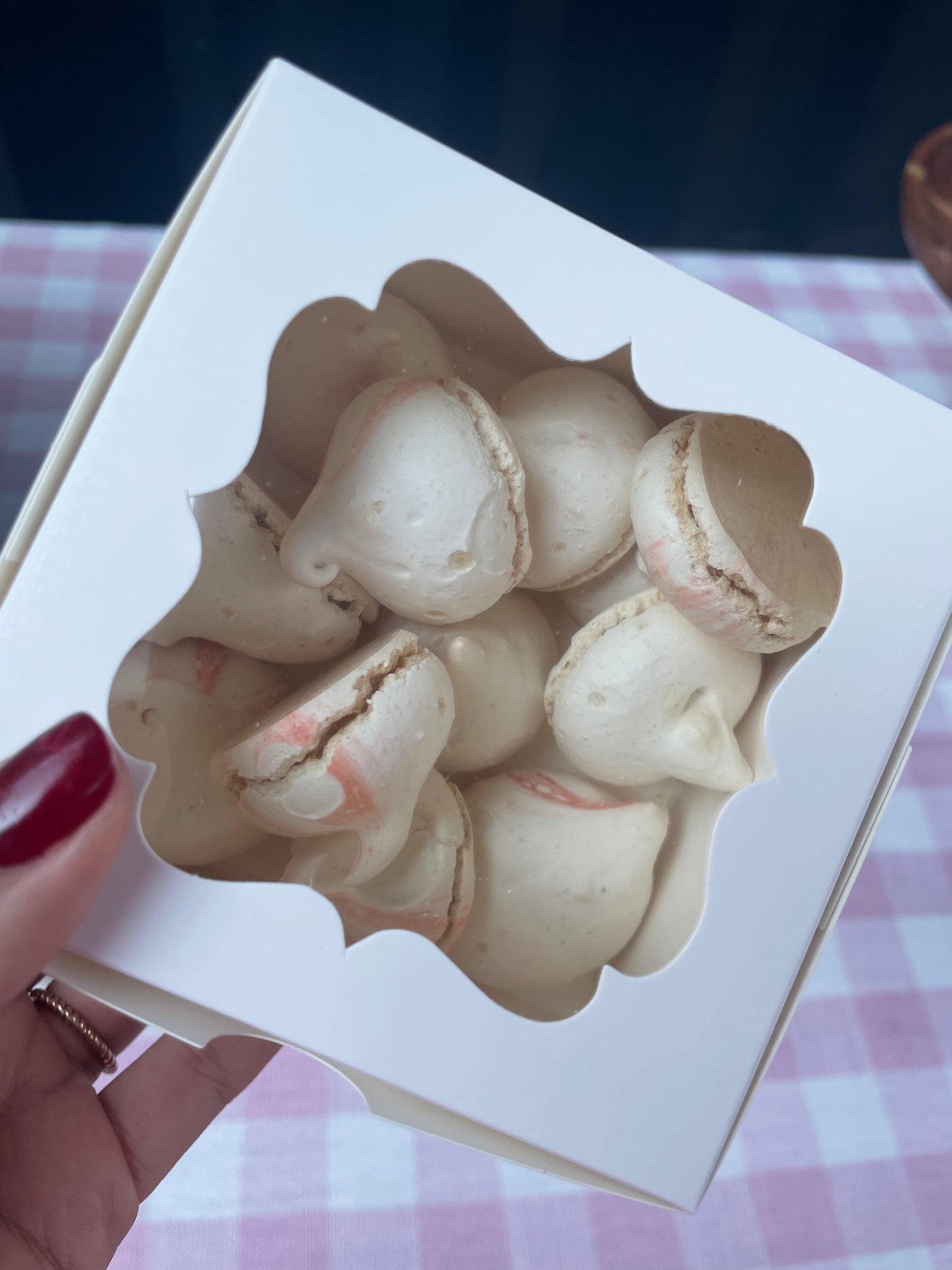 Baylor Winter Bear in Hibernation Package