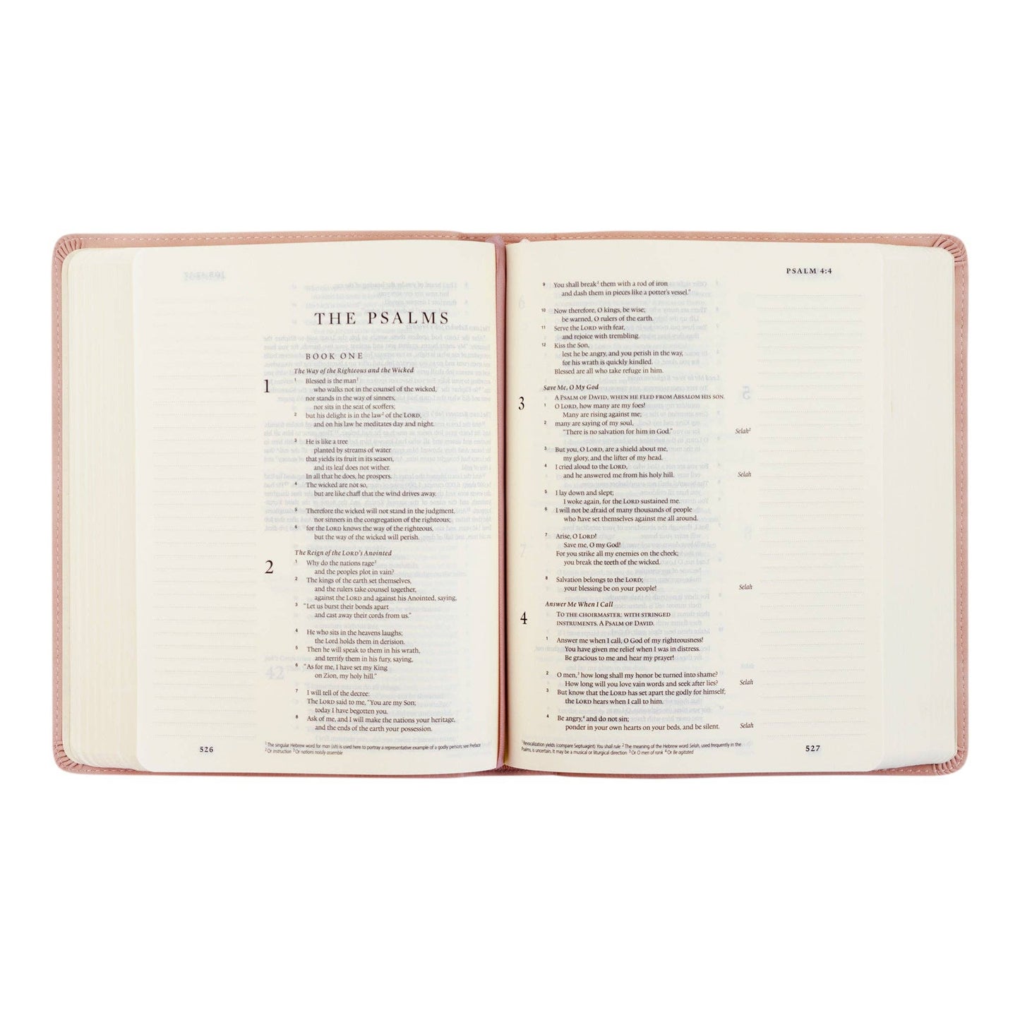 ESV Journaling Bible: Shiloh Theme